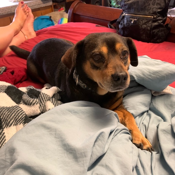 Meet your Posher, Kayley - Picture 11 of 17